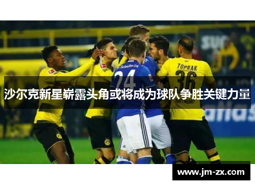 沙尔克新星崭露头角或将成为球队争胜关键力量