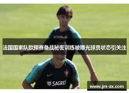 法国国家队欧预赛备战秘密训练被曝光球员状态引关注