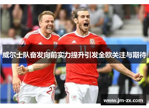 威尔士队奋发向前实力提升引发全欧关注与期待