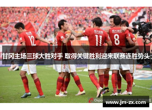 甘冈主场三球大胜对手 取得关键胜利迎来联赛连胜势头
