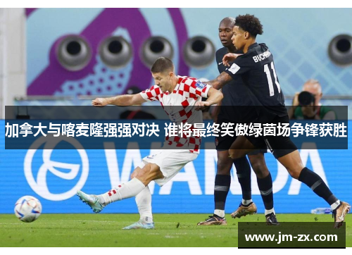 加拿大与喀麦隆强强对决 谁将最终笑傲绿茵场争锋获胜