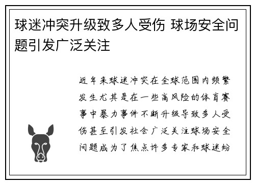 球迷冲突升级致多人受伤 球场安全问题引发广泛关注